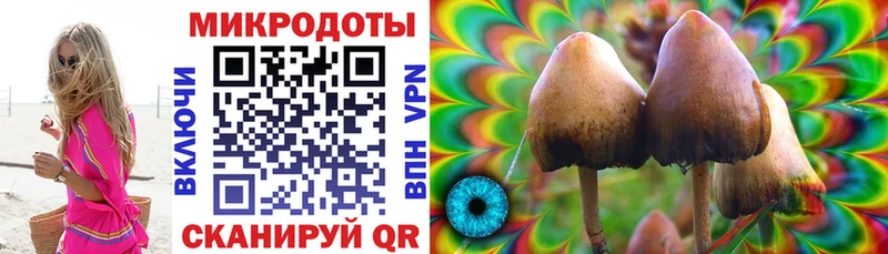 Галлюциногенные грибы прущие грибы  Раменское 